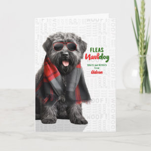Lustiger Bouvier des Flandres Navidog mit Namen un Feiertagskarte