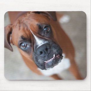 Lustiger Boxerhund Mousepad