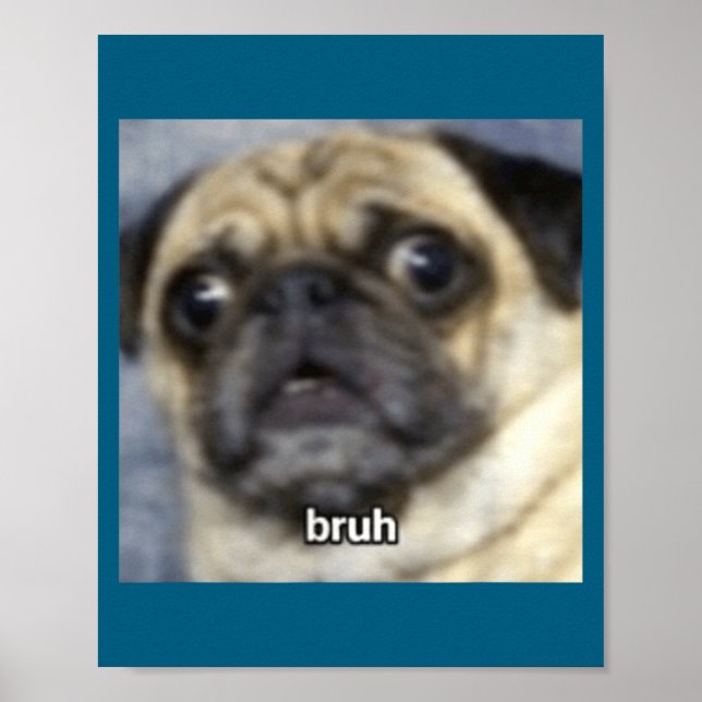 Lustiger Bruh überraschter Mops Hund unscharf Poster (Vorne)