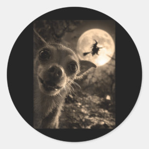 Lustiger Chihuahua-Selfie Vollmond fliegende Hexe Runder Aufkleber