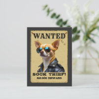 Lustiger Chihuahua WANTED Poster mit coolen Sonnen
