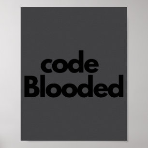 Lustiger Coder Computerprogrammierer Poster