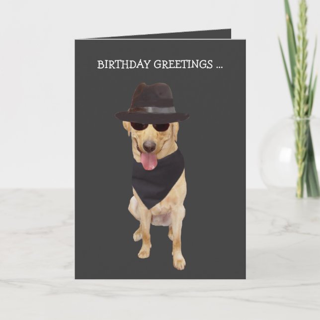 Lustiger cooler Hund/Labrador von der Gruppe Karte (Vorderseite)