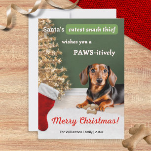 Lustiger Dachshund-Hund-Schnack-Dieb Weihnachten