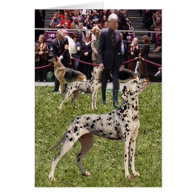 Lustiger Dalmatiner-Show-Hund (Vorne)