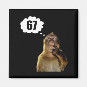 Lustiger denkender Affe Meme Sechs Sieben 6 7 Meme Magnet