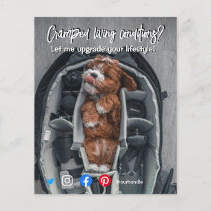 lustiger echter Anwesen Postkarte verkrampfter leb Flyer