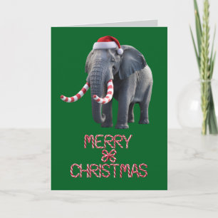 Lustiger Elefant Weihnachtsfeiertag Karte