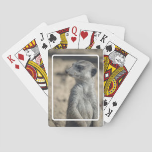 Lustiger Erdmännchen Spielkarten