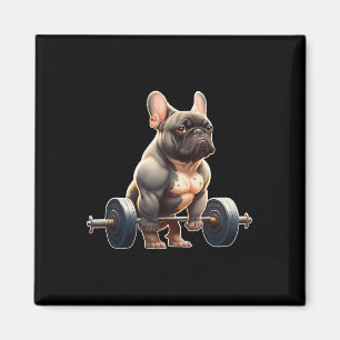 Lustiger französischer Bulldogge Bodybuilding Gym  Magnet