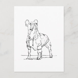 Lustiger Französischer Bulldogge –  Ich denke an D Postkarte