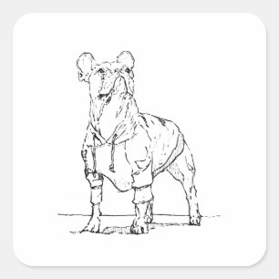 Lustiger Französischer Bulldogge –  Ich denke an D Quadratischer Aufkleber