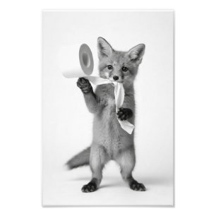 Lustiger Fuchs hält Toilettenpapier Minimalistisch Fotodruck