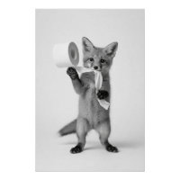 Lustiger Fuchs hält Toilettenpapier Minimalistisch