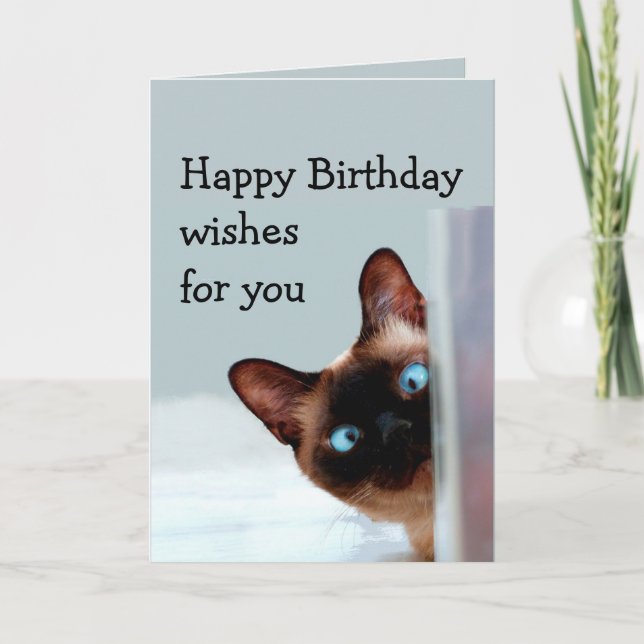 Lustiger Geburtstag wünscht siamesische Karte (Vorderseite)