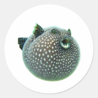 Lustiger gefleckter Kugelfisch-Sticker - Blowfish