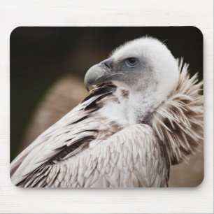 Lustiger Geier-Vogel Mousepad