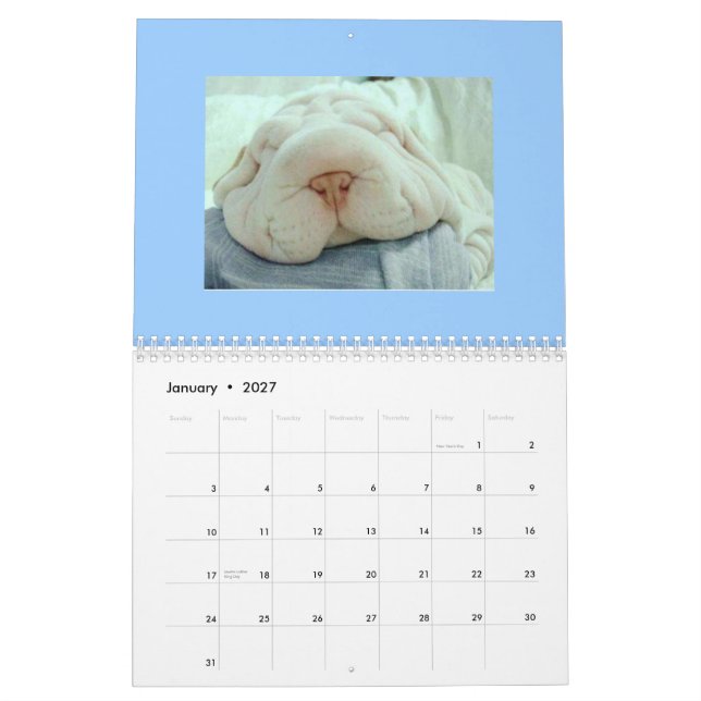 Lustiger Gesichts-Kalender Kalender (Jan 2027)