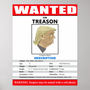 Lustiger gewollter Trumpf für Verrat Poster