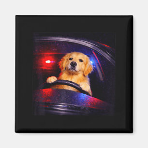 Lustiger Golden Retriever fährt Meme Hund fährt ei Magnet