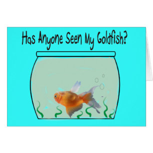 Lustiger Goldfisch und Schüssel