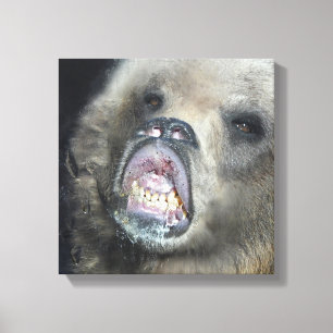 Lustiger Grizzlybär CUB, welches das Glasfenster Leinwanddruck
