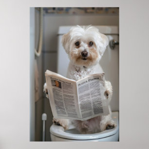 Lustiger Havanese-Hund-Druck, Badezimmer-Zeitungs- Poster
