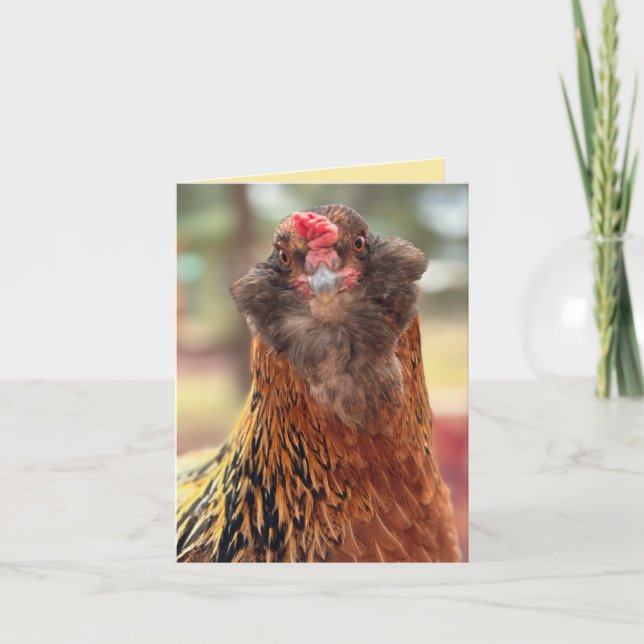 Lustiger Hühnerkopf mit Bart in Nahaufnahme  Karte (Vorderseite)