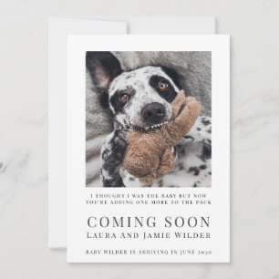 Lustiger Hund Foto Coming Soon Ankündigung