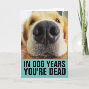LUSTIGER HUND-GEBURTSTAG, HUNDEJAHRE DU BIST TOT G KARTE
