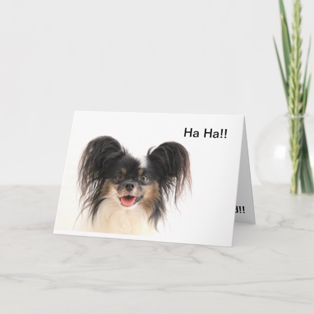 Lustiger Hund, ha ha, sind Sie alte Karte (Vorderseite)