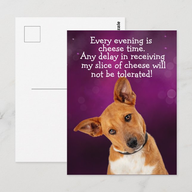 Lustiger Hundegedanke Postkarte (Vorne/Hinten)