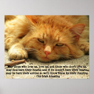 Lustiger irischer Segen mit lächelnder Miezekatze Poster