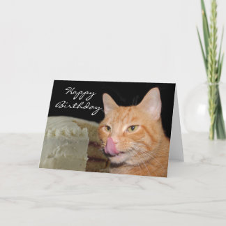Lustiger Katze Geburtstag Karte