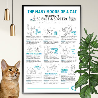 Lustiger Katzen-Körpersprachenposter – Feline-Stim Poster