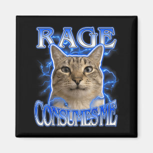 Lustiger Katzenliebhaber Lustige alberne starrende Magnet