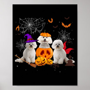 Lustiger Kürbis Hexe Bichon Frise Hund Halloween Poster