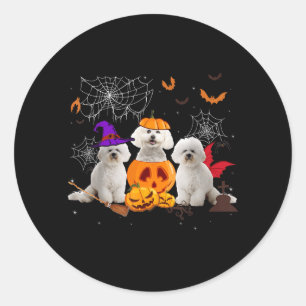 Lustiger Kürbis Hexe Bichon Frise Hund Halloween Runder Aufkleber