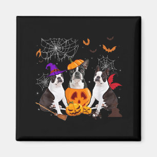 Lustiger Kürbis Hexe Boston Terrier Hund Halloween Magnet