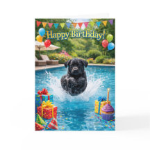 Lustiger Labrador-Welpen-Poolsplash