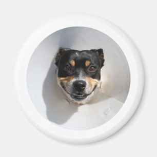 Lustiger lächelnder Hund Magnet