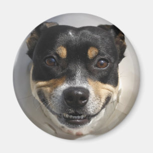 Lustiger lächelnder Hund Magnet