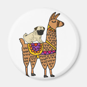 Lustiger Mops-Hundereitlama-Cartoon Magnet