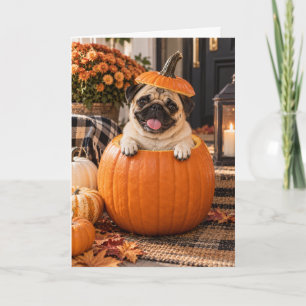 Lustiger Mops im Kürbis Herbst Halloween Grüße Karte