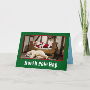 Lustiger Nordpol-Nickerchen-Weihnachten Karte