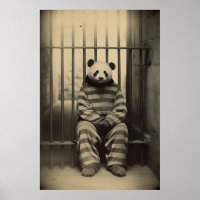 Lustiger Panda-Gefängnis-Druck Vintage-Tierfoto