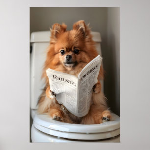Lustiger Pomeranian-Badezimmerdruck, Toilettenzeit Poster