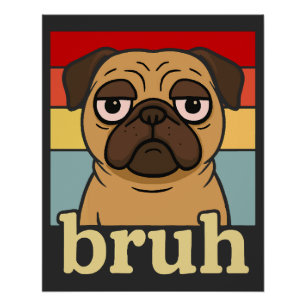 Lustiger Pug Bruh Lustiger Welpen-Hundeliebhaber H Poster