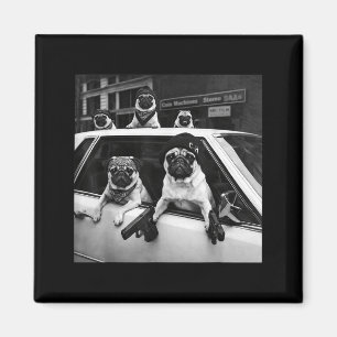 Lustiger Pug-Meme Pug-Gangster-Hund Straßenstyle Magnet