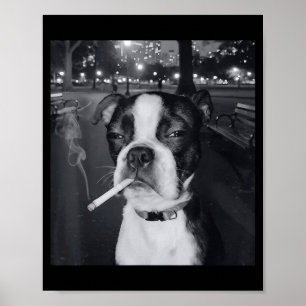 Lustiger rauchender Hund Meme Zigarette Gen Z Meme Poster